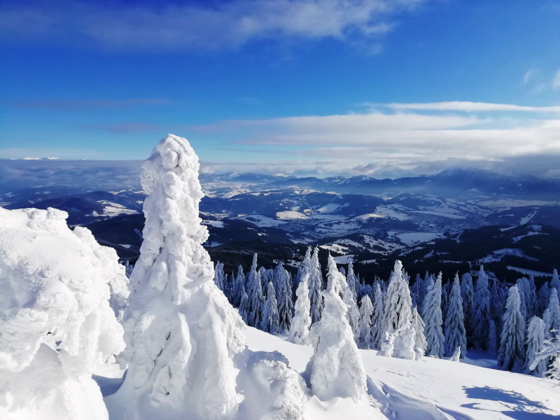 Tiny houses Tatry
