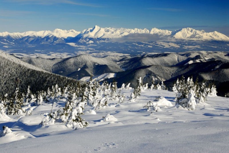 Tiny houses Tatry